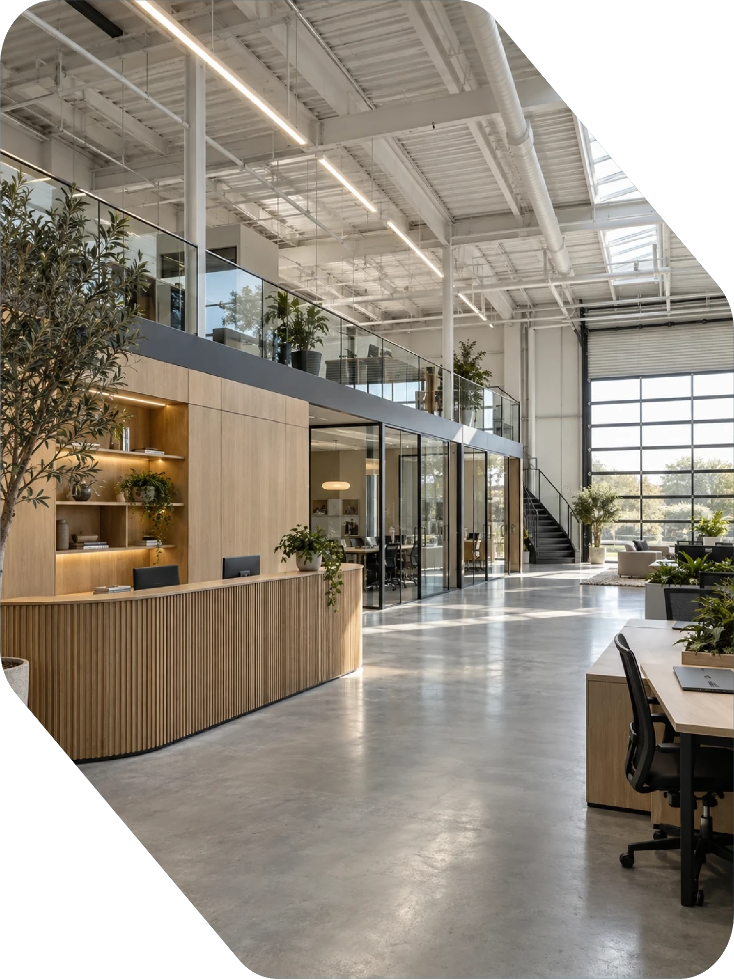 Contemporary commercial joinery in a bright workspace